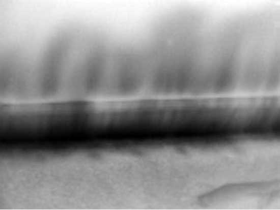 Baseboard Leakage Baseboard Leakage